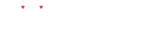 Digital Dynamics Software, Inc. Logo